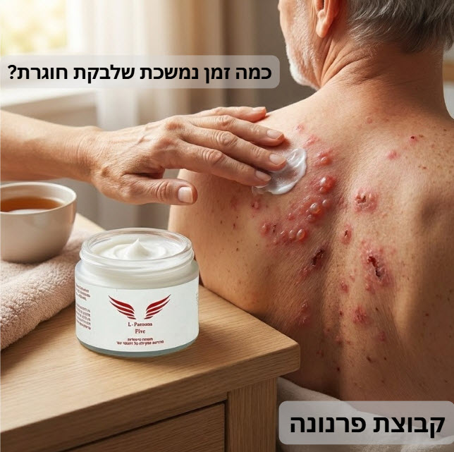 שלבי ההתפתחות של שלבקת חוגרת - אילוסטרציה